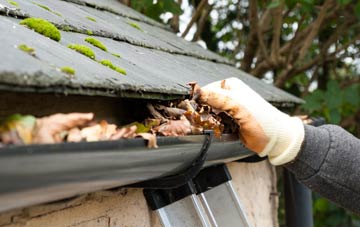 gutter cleaning Waterend